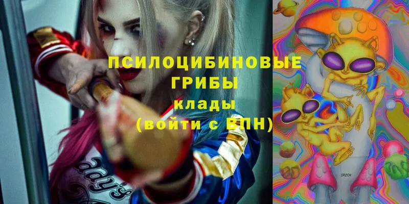 Псилоцибиновые грибы Magic Shrooms  Кинель 